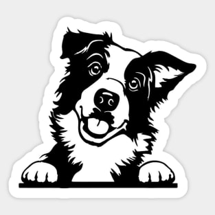 Pet Grooming Sticker